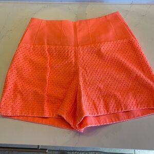 Anthropology high waisted shorts